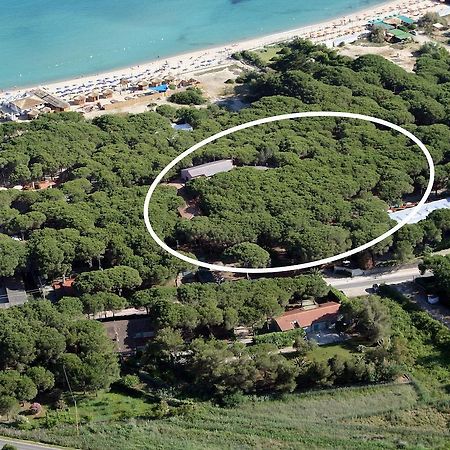 Hotel Villa Nettuno Marina di Campo Exterior photo